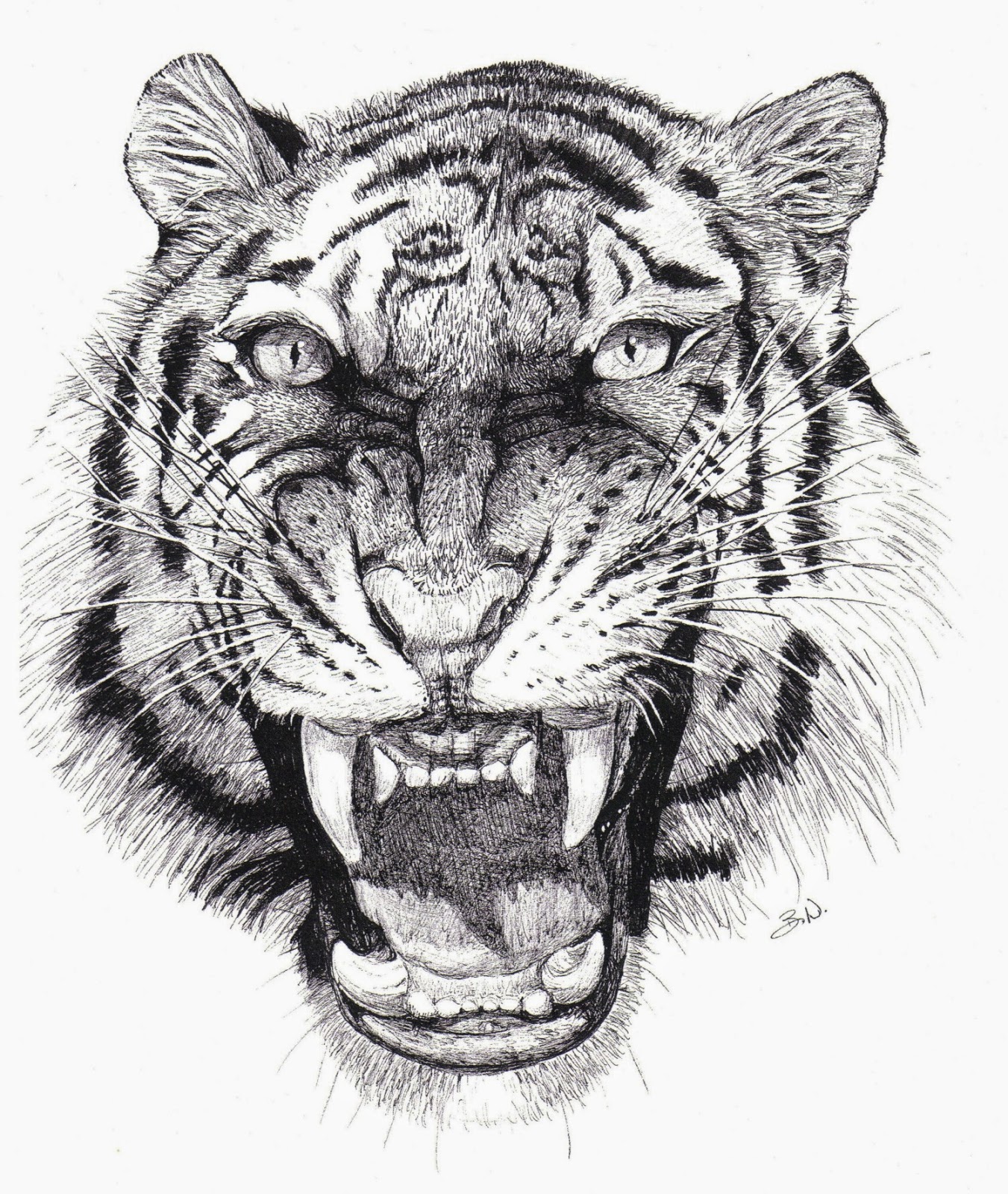 Эскизы татуировок оскал тигра